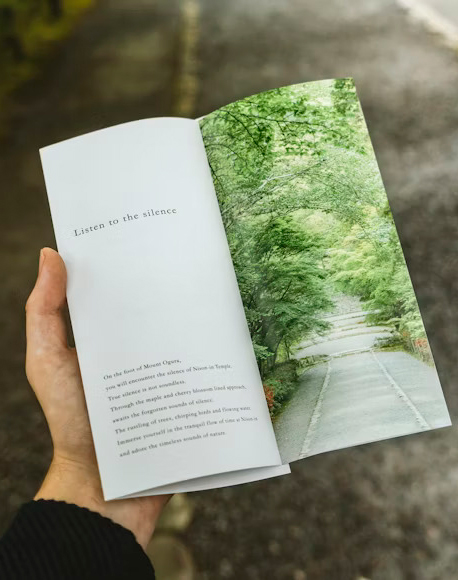 branding-focused brochure designs